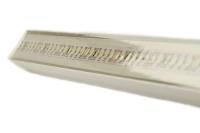 Линейный влагозащищенный светодиодный светильник Premier P-LINE 60RGB INOX, IP68