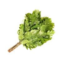 Веник ДУБОВЫЙ в индивидуальной упаковке