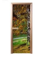 Дверь для сауны Maestro Woods Березка