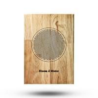 Влагостойкий динамик с декоративной дубовой сеткой Steam&Water SW 525 Wood (Угловой)