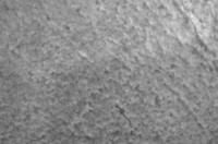 Плитка из натурального камня Талькорус «АНТИК», 300х150х10мм, талькомагнезит