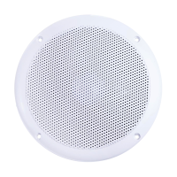 Комплект акустики со встроенным Bluetooth Steam&Water ВТ (для сухих помещений)