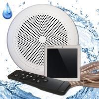 Комплект влагостойкой акустики Steam&Water Standart Sensor для бани и хамама