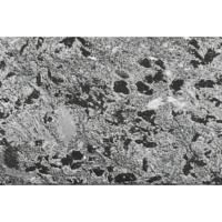 Плитка из натурального камня Талькорус «ПРЕМИУМ», 300х200х12мм, серпентинит