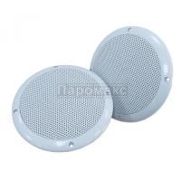 Комплект из 2х колонок для хамама Паромакс 120W 165мм IP66