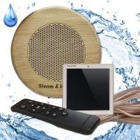 Комплект влагостойкой акустики Steam&Water Sauna Standart Sensor  для бани и хамама